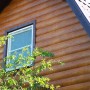 IMG_5901_1