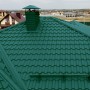 Голландия_Полиэстер_6005